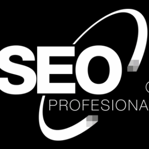 Curso SEO Profesional©